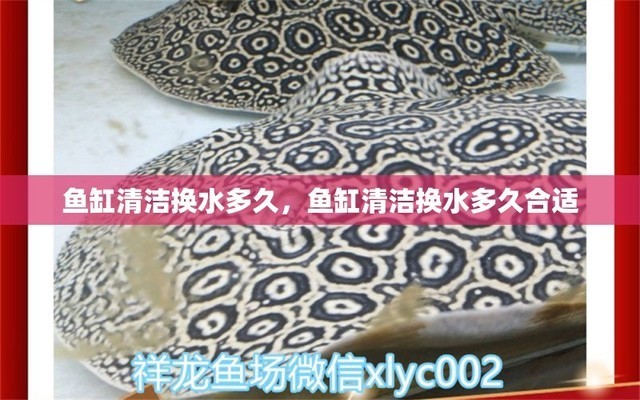 東營圖樂智能科技有限公司（東營圖樂智能科技有限公司怎么樣） 東營圖樂智能科技有限公司（東營圖樂智能科技有限公司怎么樣） 全國水族館企業(yè)名錄