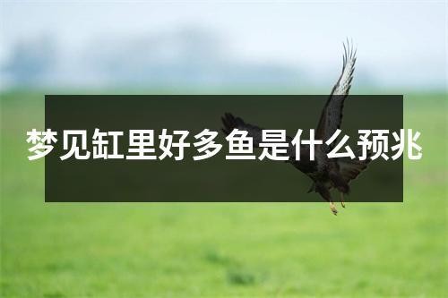 魚缸漂亮發表說說搞笑（魚缸搞笑說說創意來源如何寫搞笑魚缸日記） 魚缸漂亮發表說說搞笑（魚缸搞笑說說創意來源如何寫搞笑魚缸日記） 魚缸百科