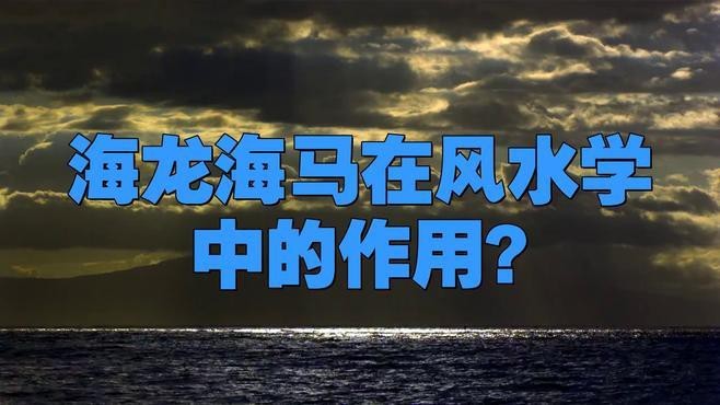 海龍和海馬哪個藥用價值更高？