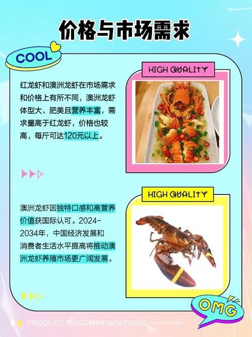 紅龍和澳龍的區別圖片