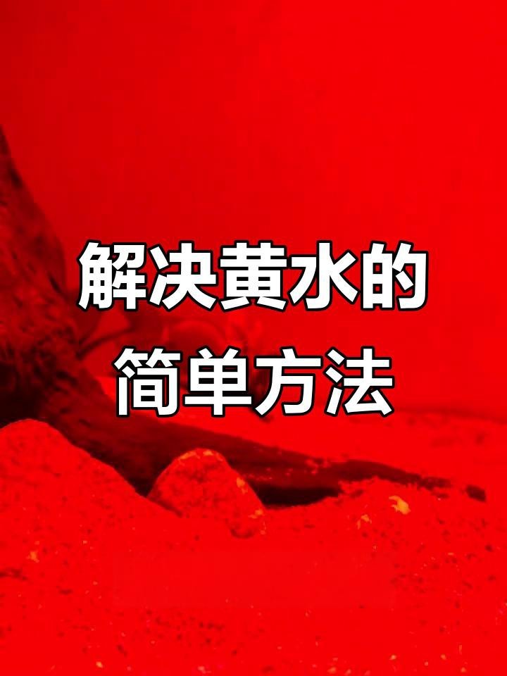 府谷縣觀賞金龍水族館（府谷縣觀賞金龍水族館電話）