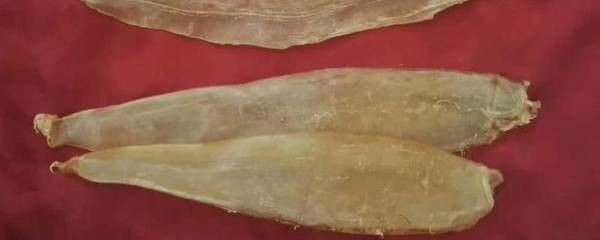 金龍魚膠屬于什么檔次