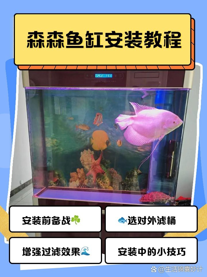 森森魚(yú)缸正確安裝方法