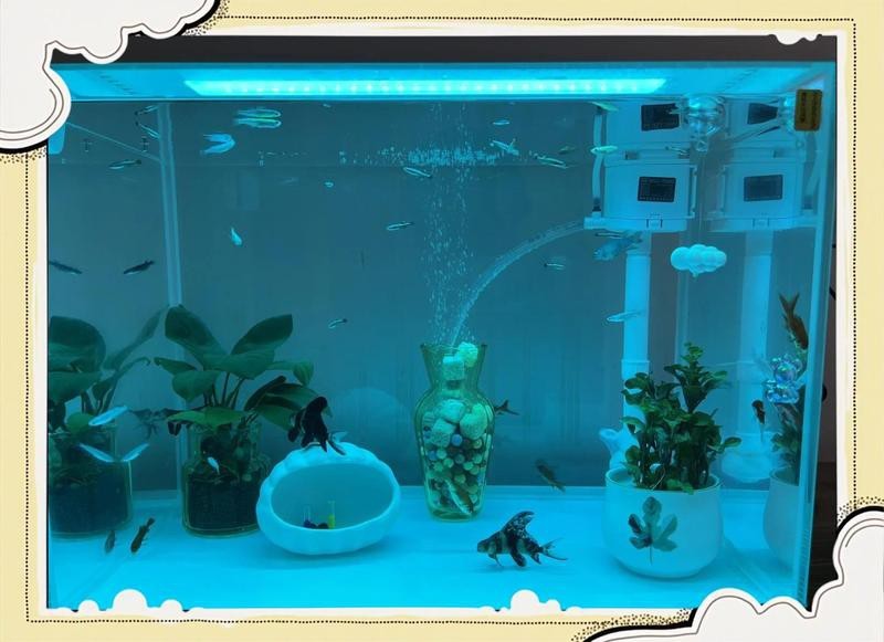 森森魚(yú)缸正確安裝方法