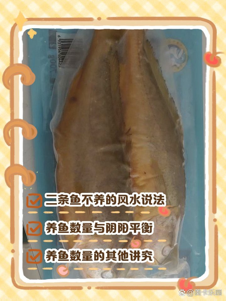 龍魚養(yǎng)2條好風(fēng)水