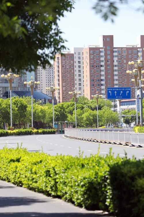 衡水金龍魚新橋北街