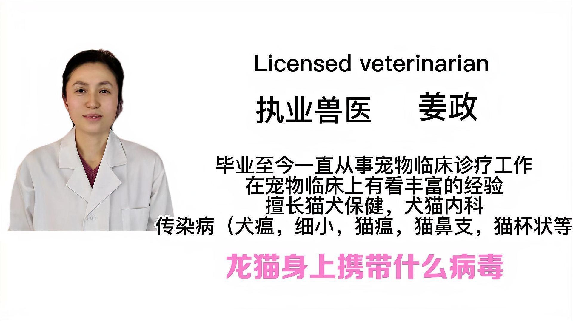 如何預防龍貓傳播疾病給人類？
