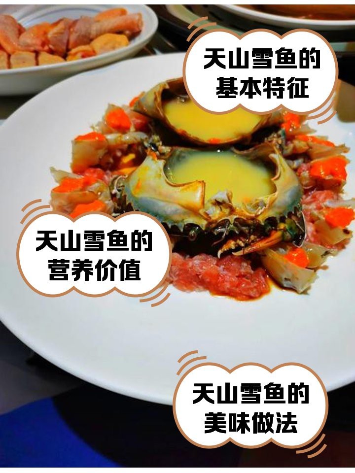 天山雪龍魚是什么魚類圖片