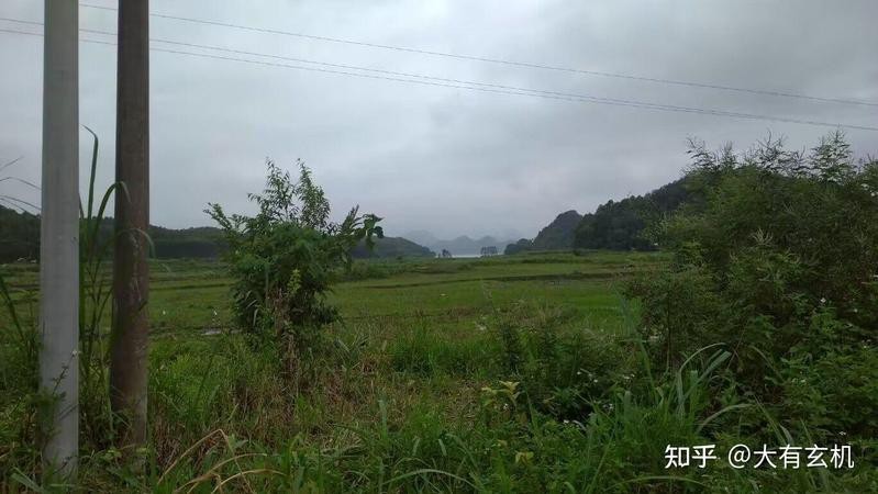 風水在龍的什么位置好 風水在龍的什么位置好 龍魚論壇 第3張
