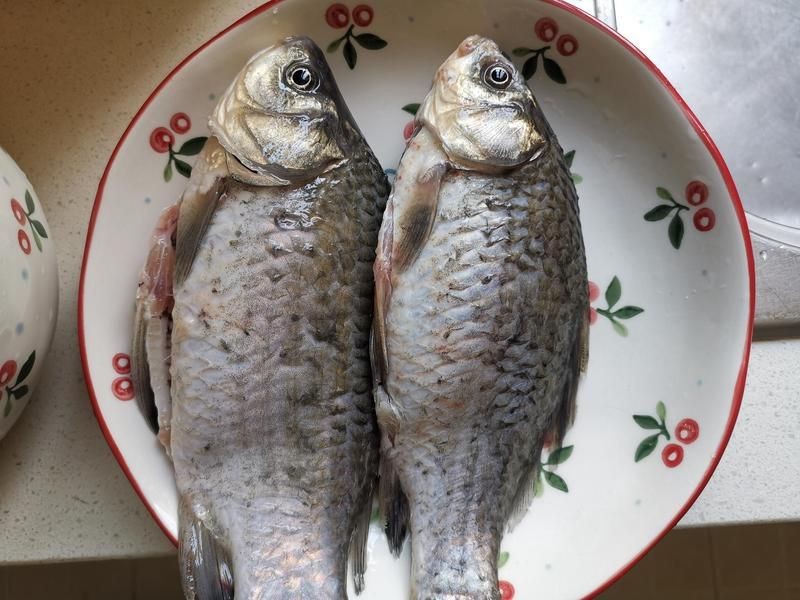 虎頭鯊多少錢一斤