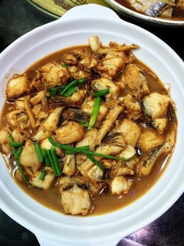 水龍魚(yú)圖片大全欣賞視頻