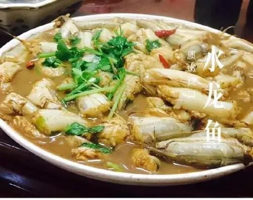 水龍魚(yú)圖片大全欣賞視頻