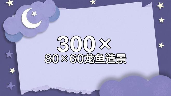 給我一些龍魚魚缸擺放的實例圖片