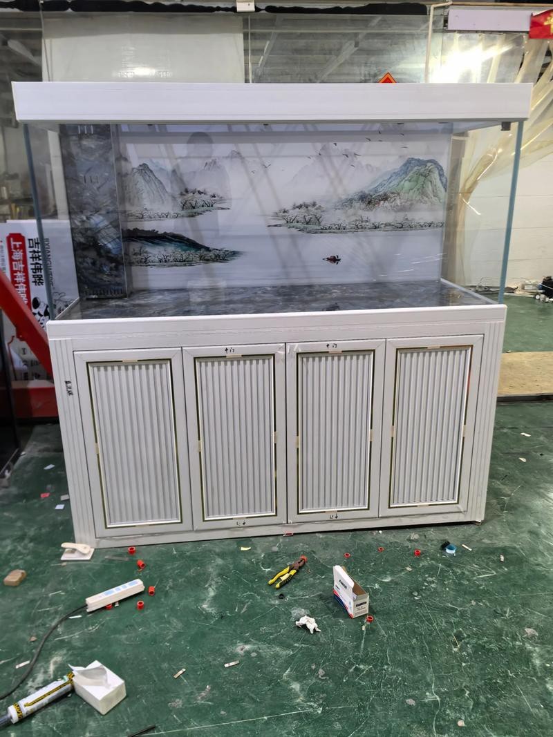 給我一些龍魚魚缸擺放的實例圖片