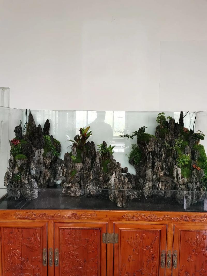 給我一些龍魚魚缸擺放的實例圖片