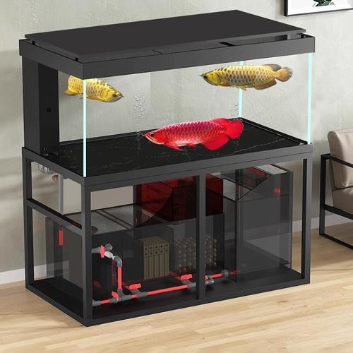 給我一些龍魚魚缸擺放的實例圖片