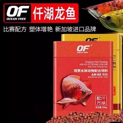 高背金龍魚發(fā)色技巧