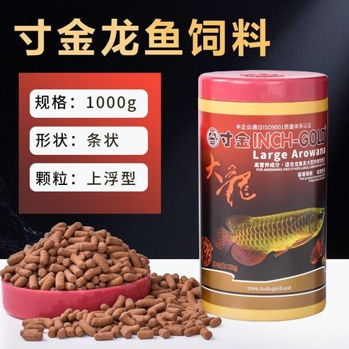 高背金龍魚發(fā)色技巧