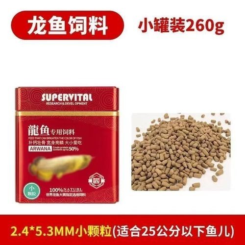 高背金龍魚發(fā)色技巧