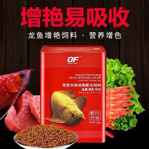 高背金龍魚發(fā)色技巧