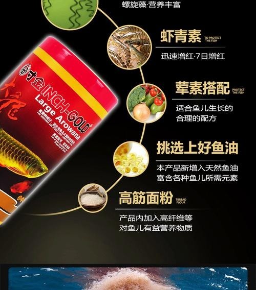 高背金龍魚發(fā)色技巧