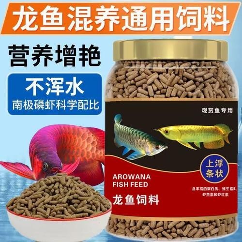 高背金龍魚發(fā)色技巧