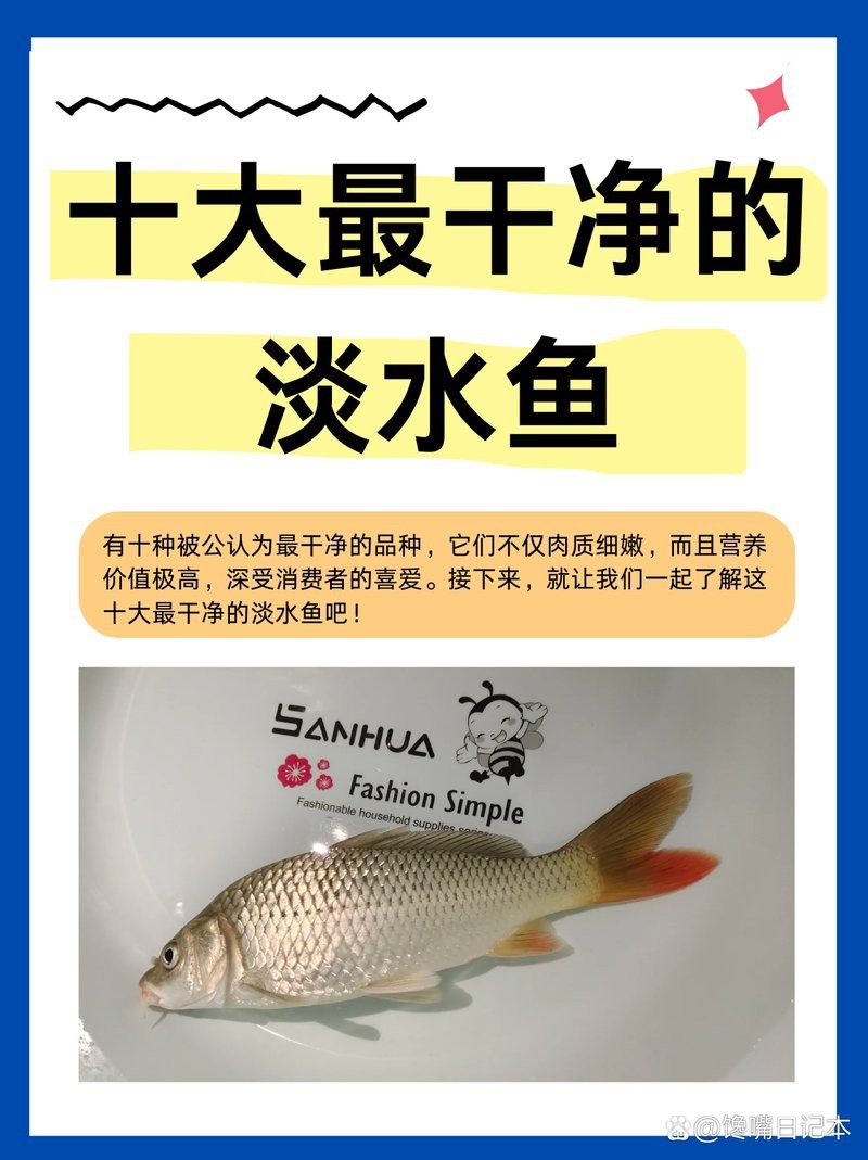 十大頂級淡水魚