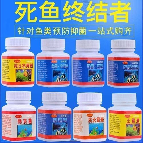 龍魚身上有白色絮狀物用什么藥好呢圖片