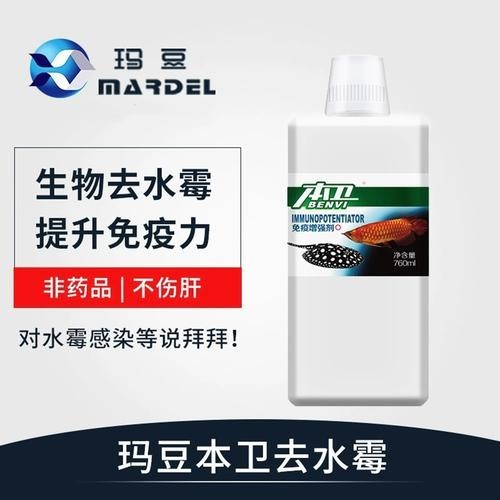 龍魚身上有白色絮狀物用什么藥好呢圖片