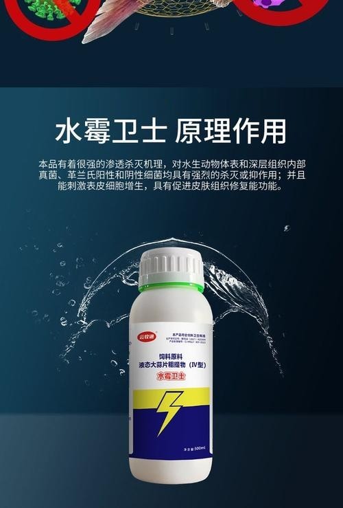 龍魚身上有白色絮狀物用什么藥好呢圖片