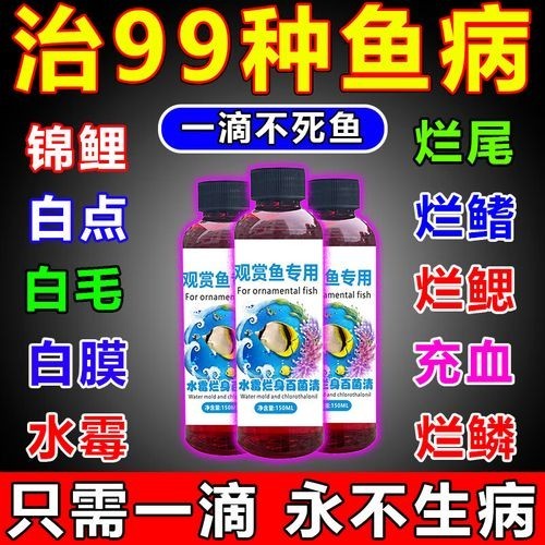 龍魚身上有白色絮狀物用什么藥好呢圖片