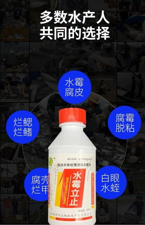 龍魚身上有白色絮狀物用什么藥好呢圖片
