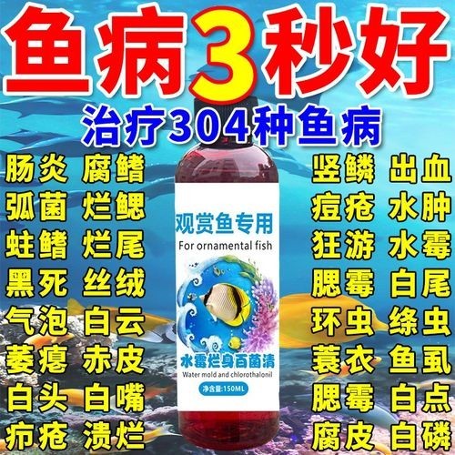 龍魚身上有白色絮狀物用什么藥好呢圖片