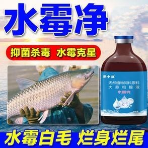 龍魚身上有白色絮狀物用什么藥好呢圖片