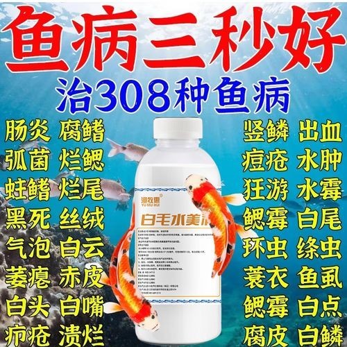 龍魚身上有白色絮狀物用什么藥好呢圖片