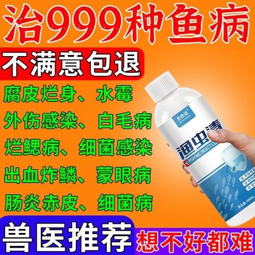 龍魚身上有白色絮狀物用什么藥好呢圖片
