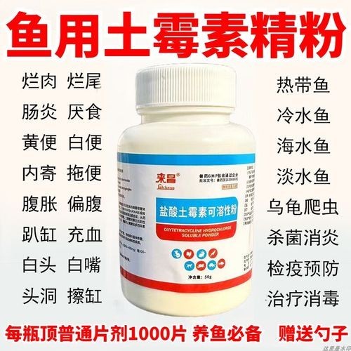 龍魚身上有白色絮狀物用什么藥好呢圖片