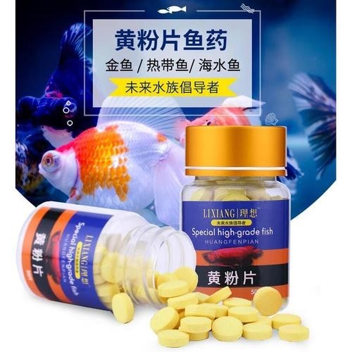龍魚身上有白色絮狀物用什么藥好呢圖片