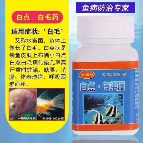 龍魚身上有白色絮狀物用什么藥好呢圖片