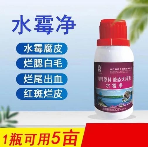 龍魚身上有白色絮狀物用什么藥好呢圖片