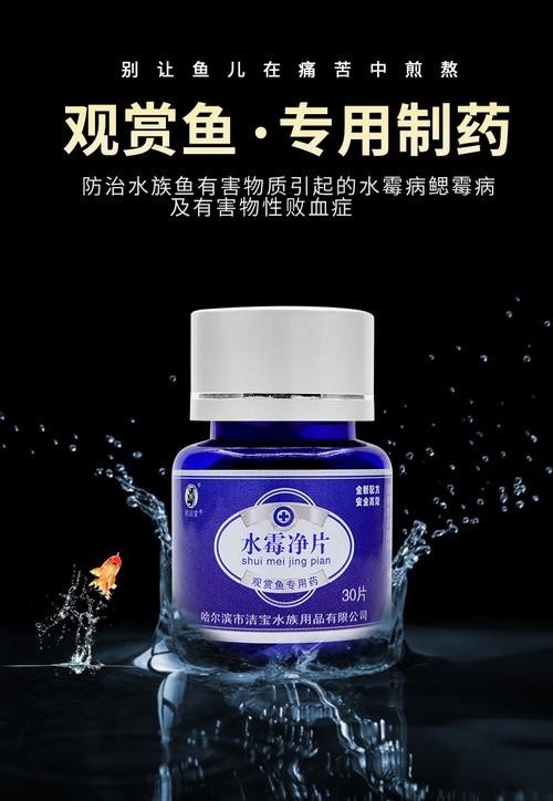 龍魚身上有白色絮狀物用什么藥好呢圖片