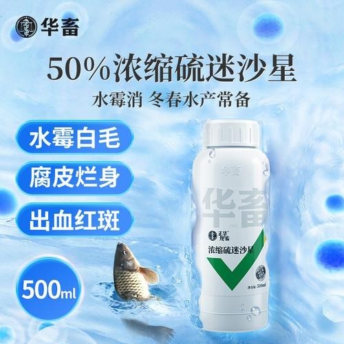 龍魚身上有白色絮狀物用什么藥好呢圖片