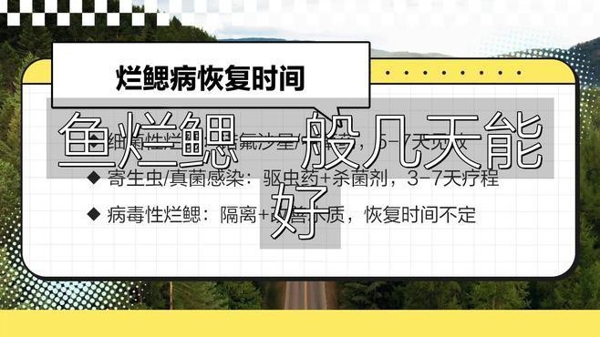 龍魚爛鰓病的治療周期一般多久？