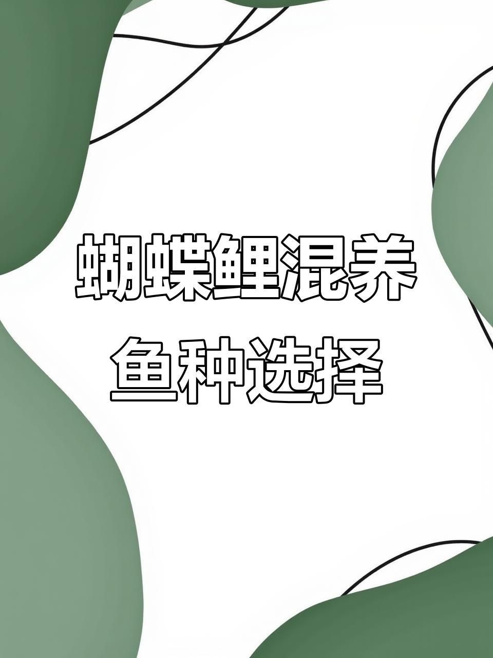 蝴蝶魚能和什么魚混養