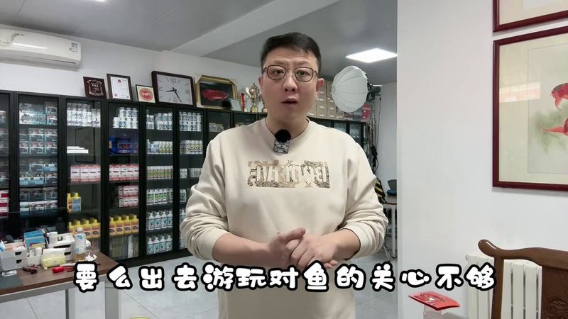 泗水龍魚直播官網(wǎng)入口