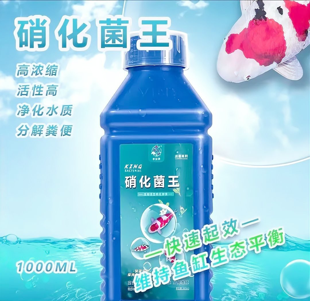1米2缸最大能養(yǎng)多大錦鯉