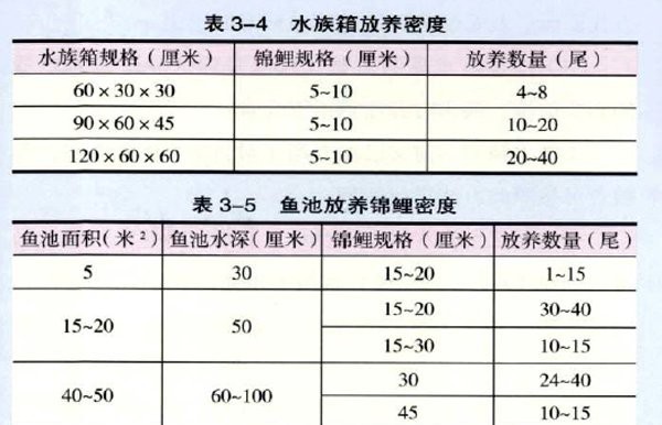 1米2缸最大能養(yǎng)多大錦鯉