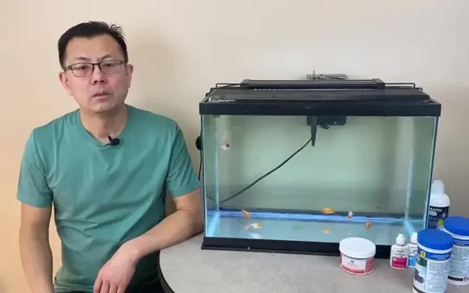 有哪些混養案例失敗的原因
