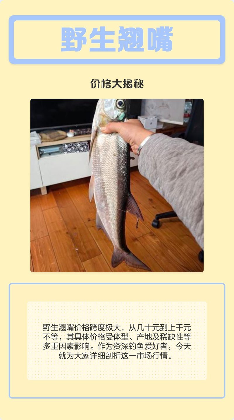 翹嘴魚(yú)多少錢(qián)一斤