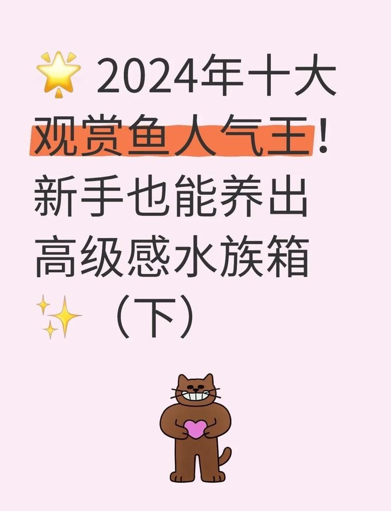 錦鯉和龍魚哪個更受歡迎？